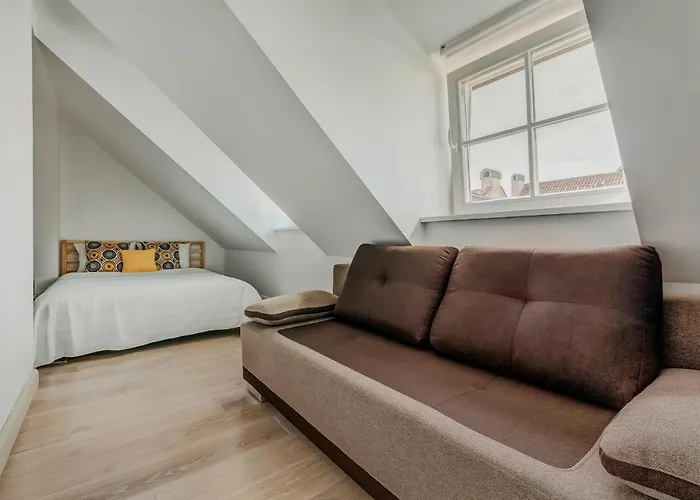 Spacious - 140 Square Meters Apartment, Centre Vilnius