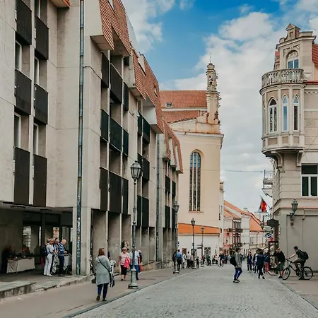 Spacious - 140 Square Meters Apartment, Centre Vilnius