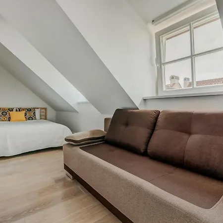 Spacious - 140 Square Meters Apartment, Centre Vilnius